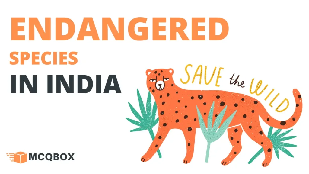 Endangered Species in India