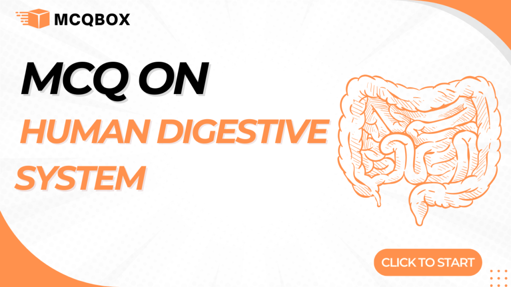 MCQ on Human Digestive System